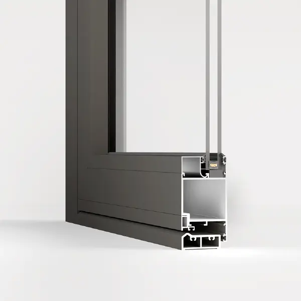 R55 SYSTEM
